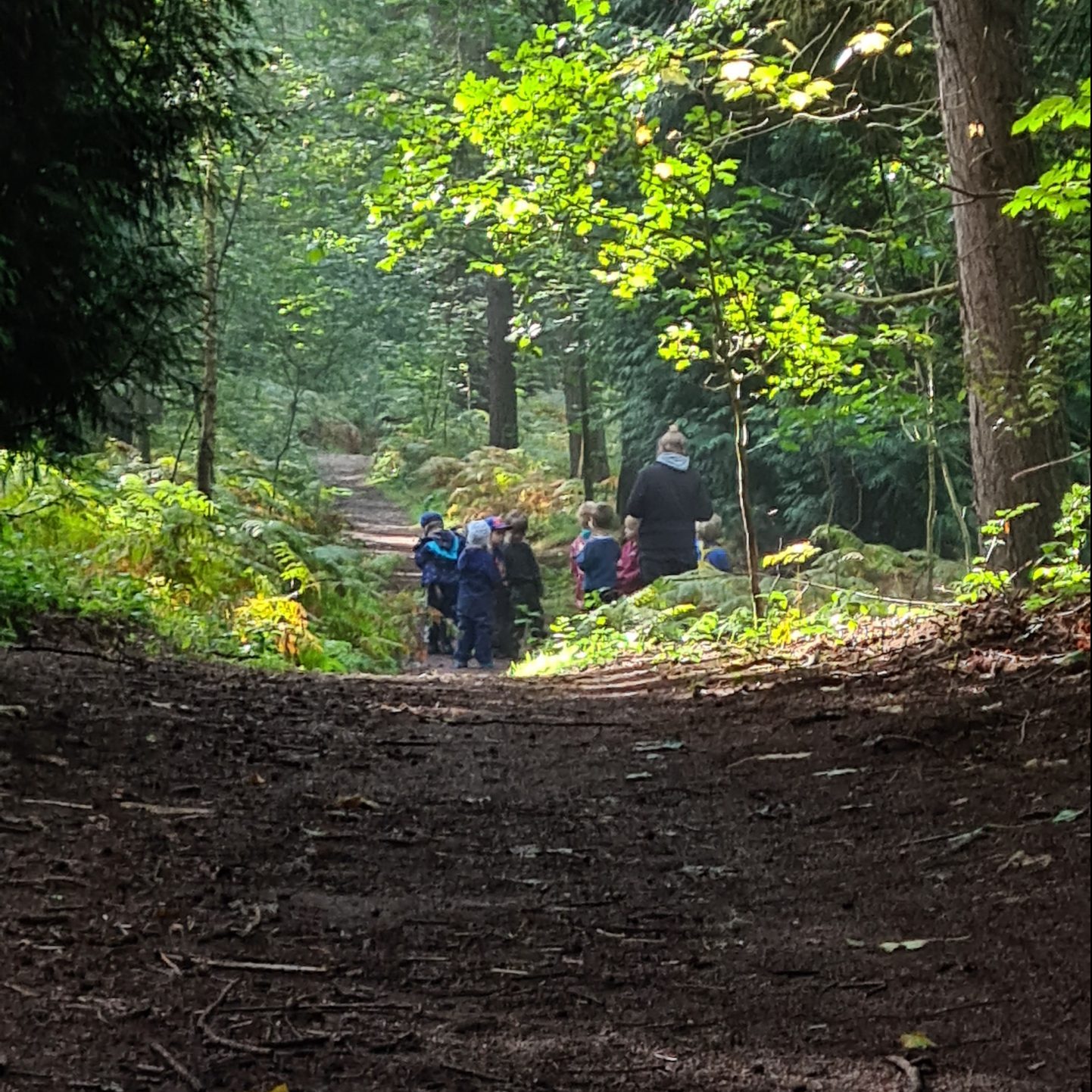 Wald_1