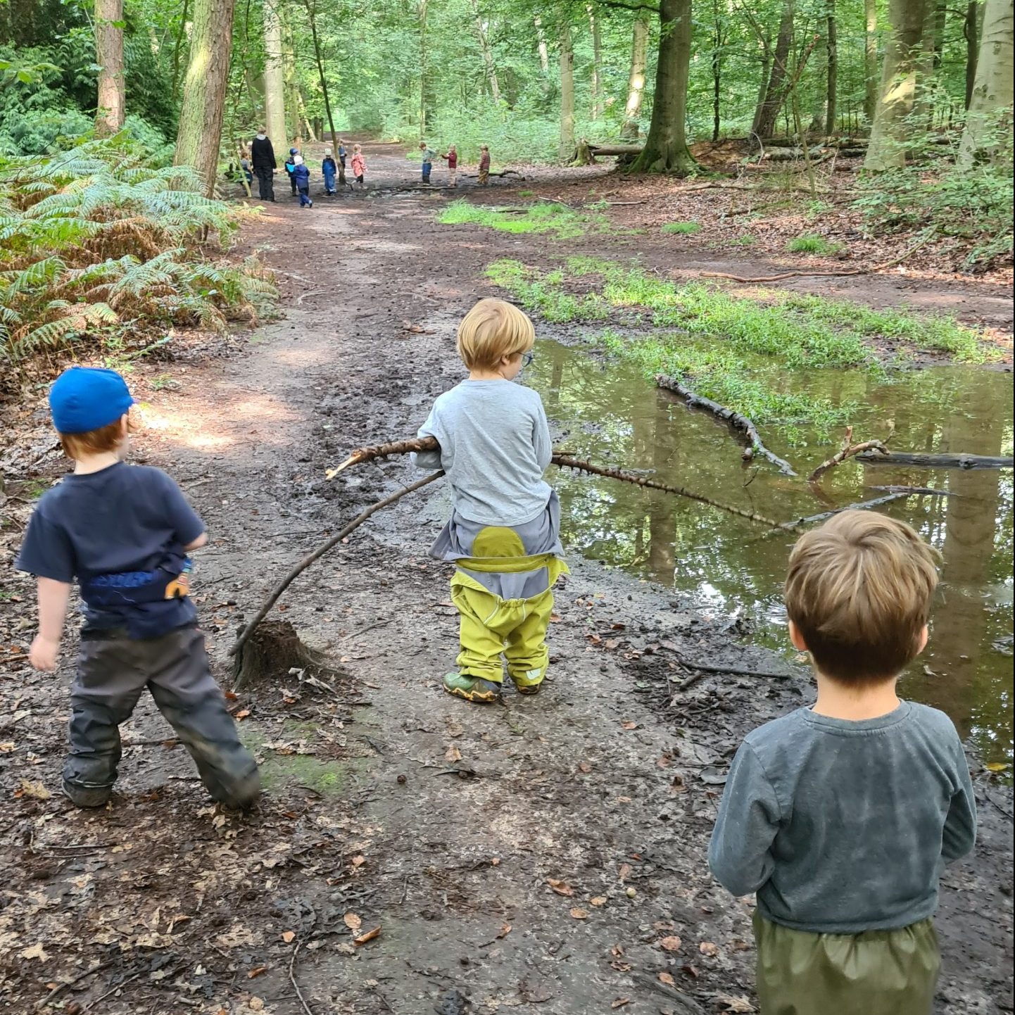 Wald_2